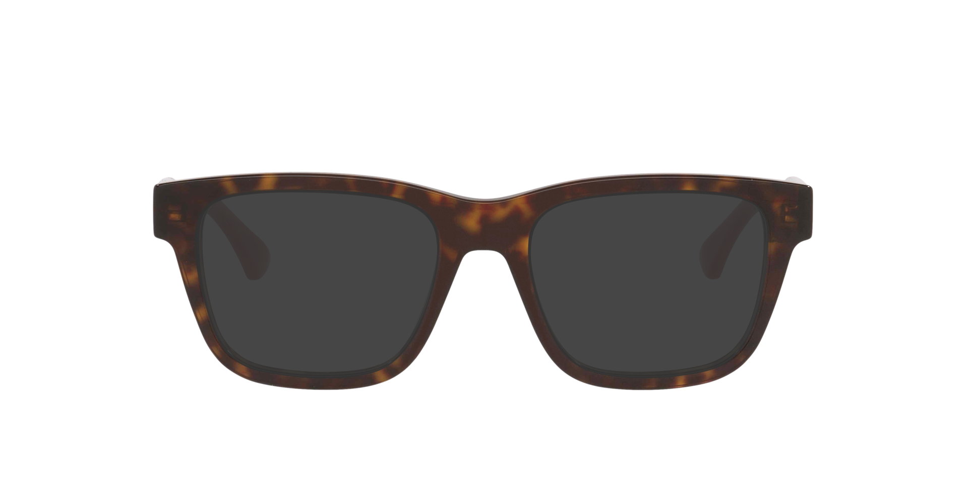 Tortoise GG1870O -  Acetate
