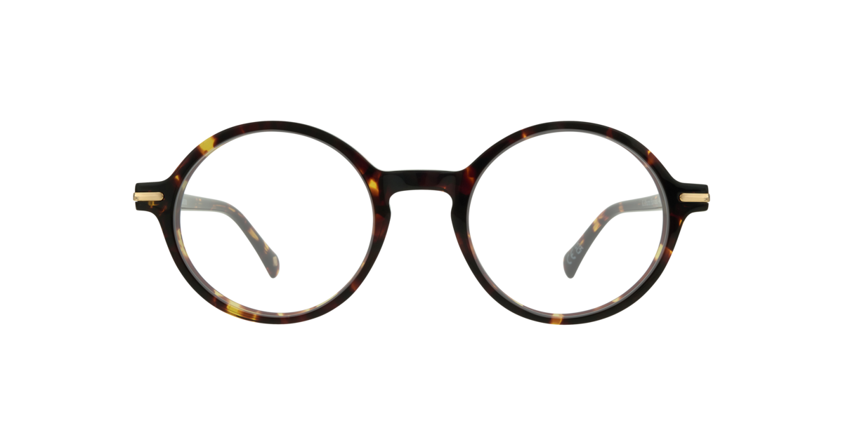 Havana round Acetate eyeglasses Online - Full Rim - Kilburn