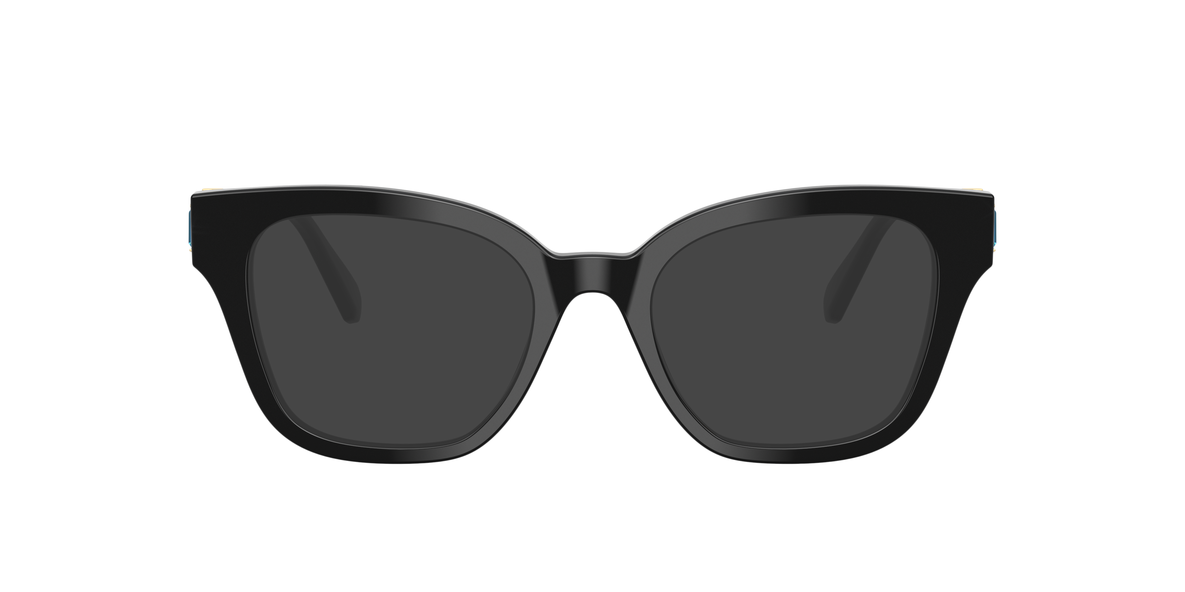 Black SK2048 -  Acetate