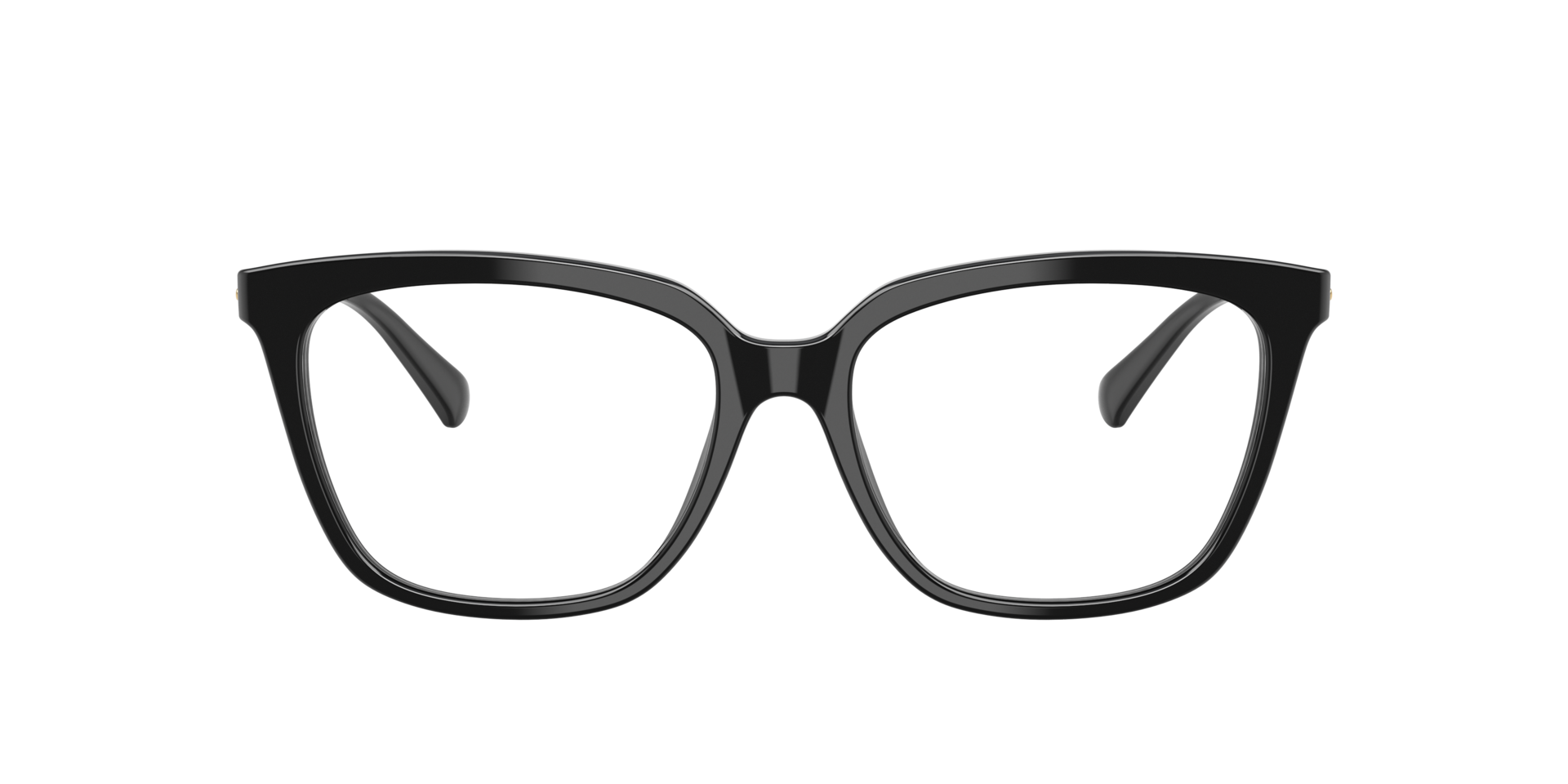 Shiny Black EA3248 -  Acetate