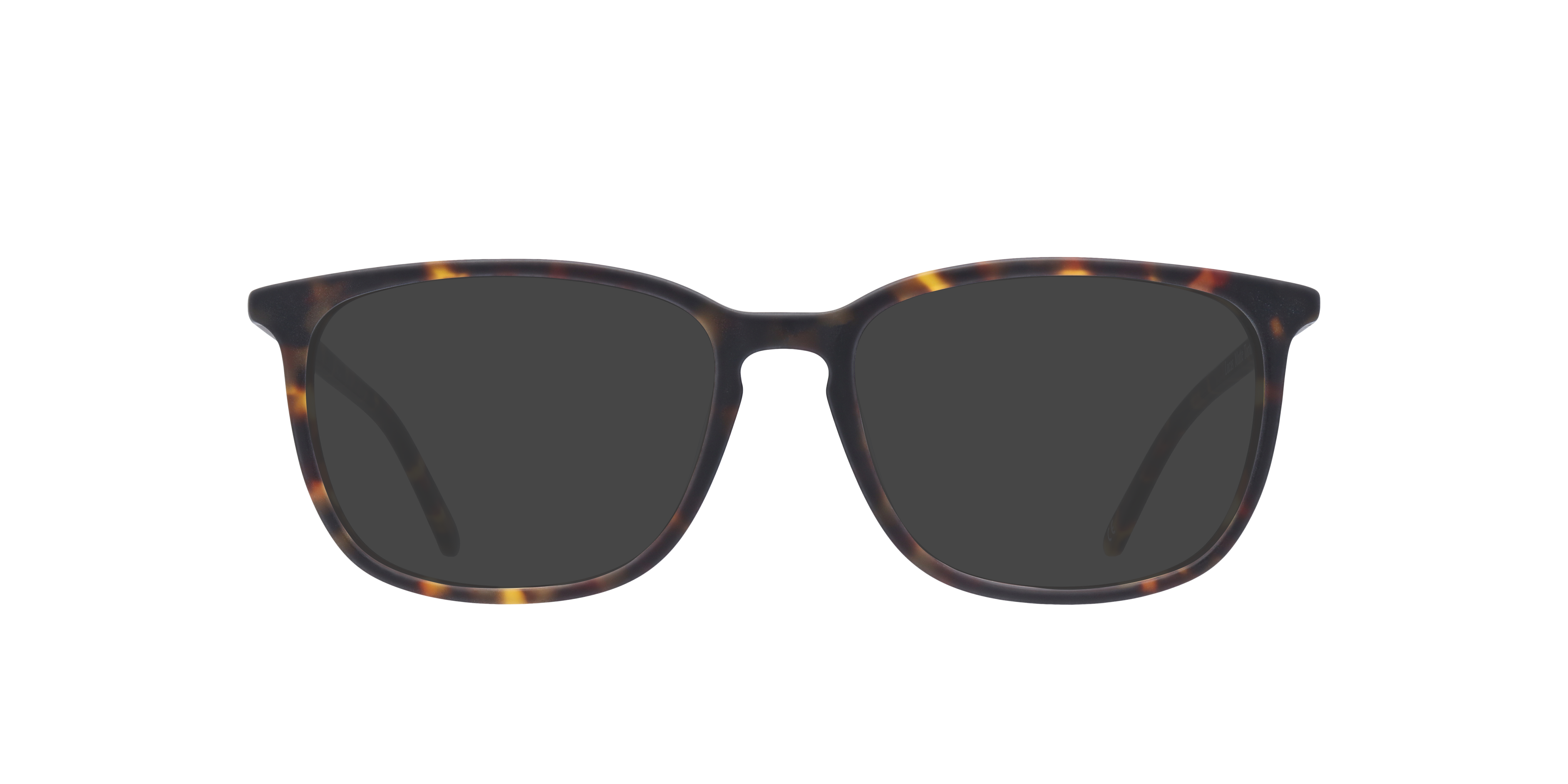 Matte Tortoise Lucas -  Acetate