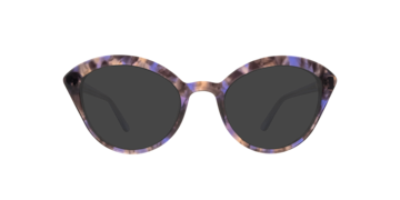 Purple Havana Harley -  Acetate Sunglasses
