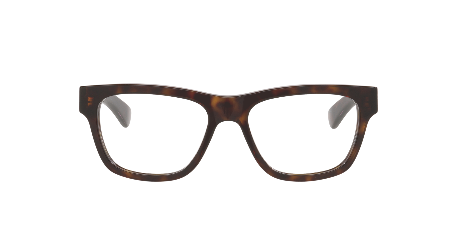 Tortoise GG1795O -  Acetate