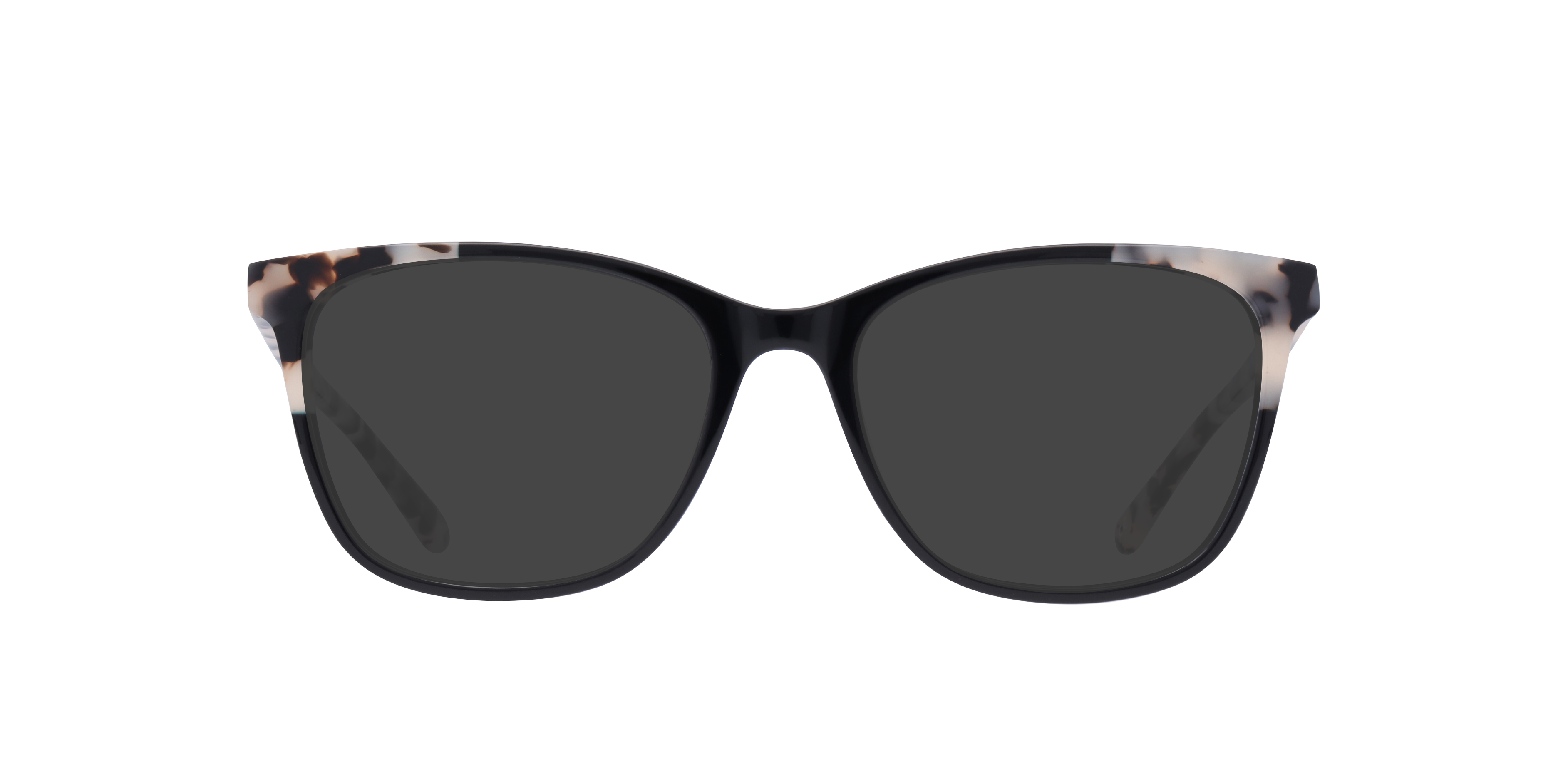 Black/Havana Dakota -  Acetate