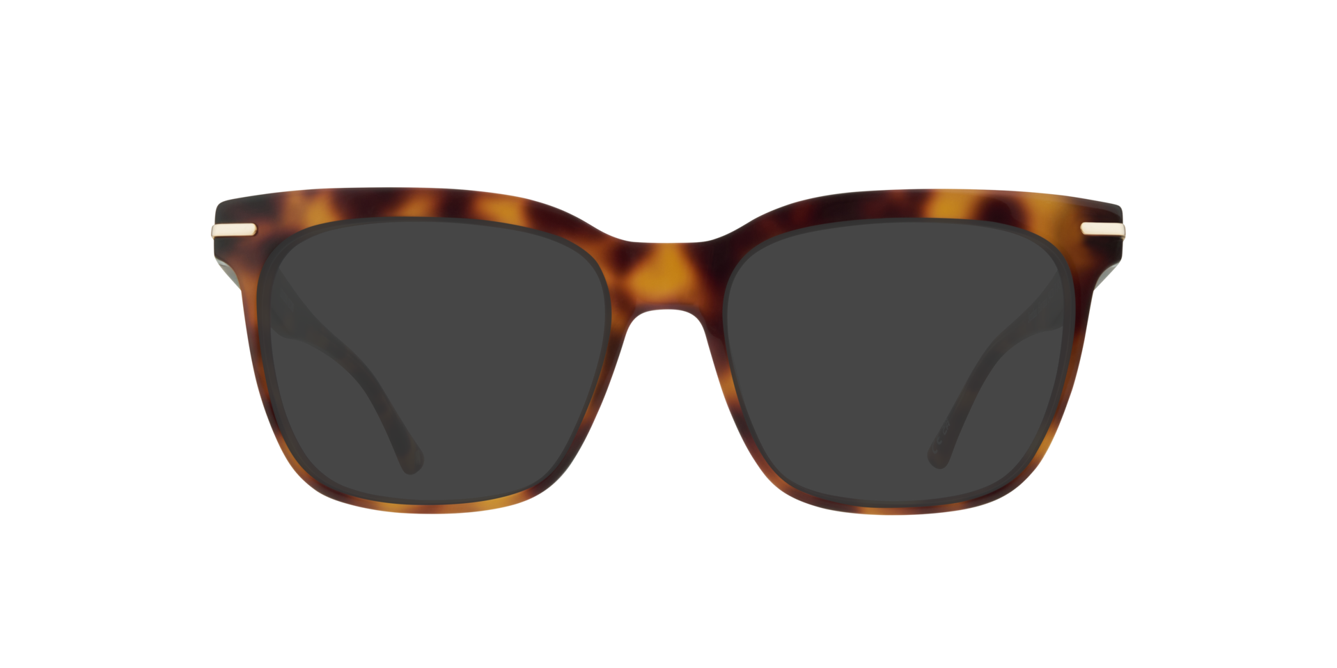 Jordan Havana AcetateEyeglass Frames for Glasses Direct, with Tinted Lenses