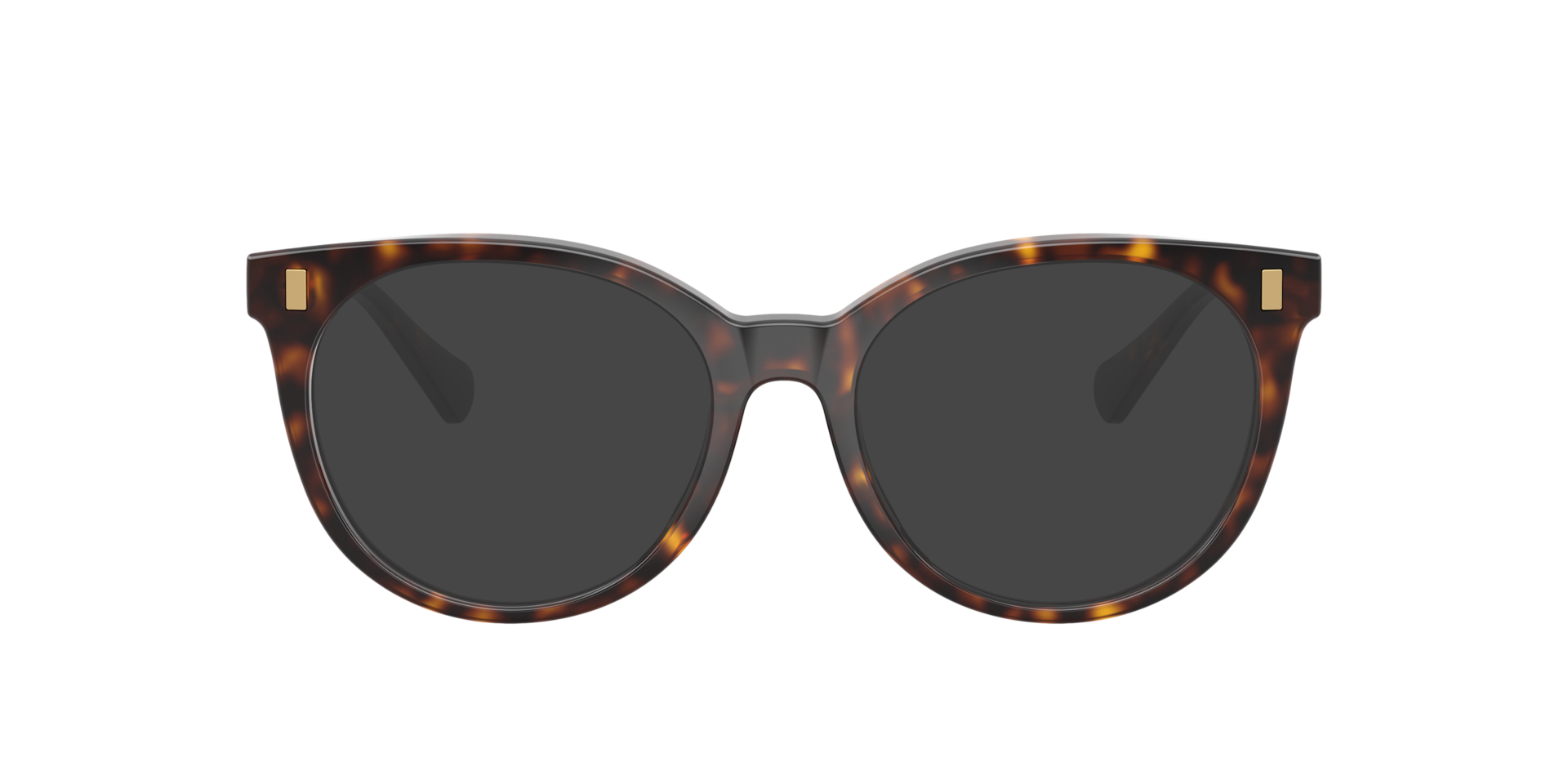 Shiny Dark Havana RA7182U -  Acetate