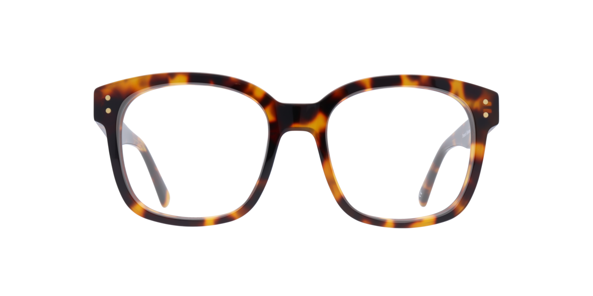 Scout Women's Havana Square Acetate Eyeglasses Online - Full Rim - Francis