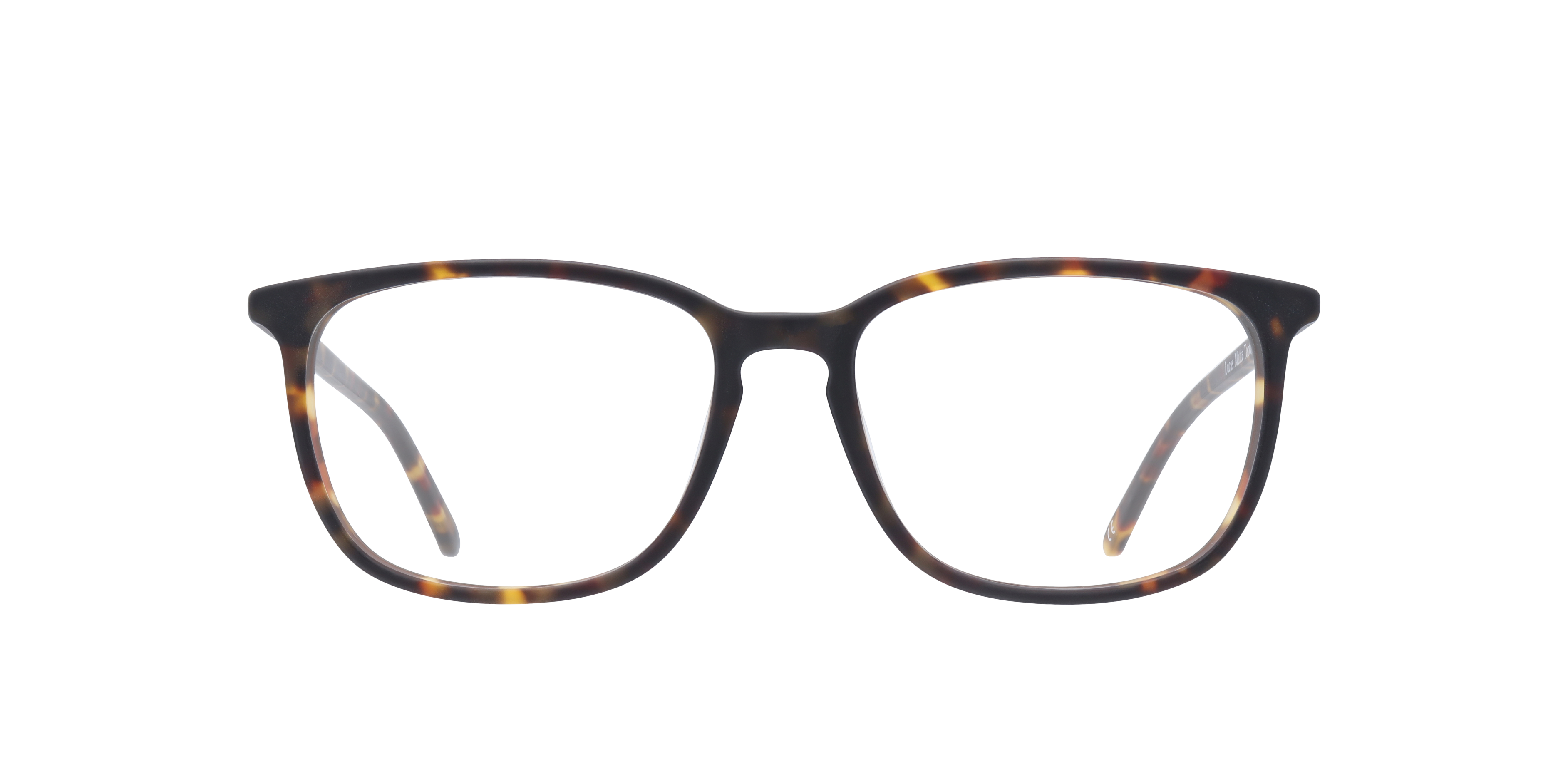 Matte Tortoise Lucas -  Acetate