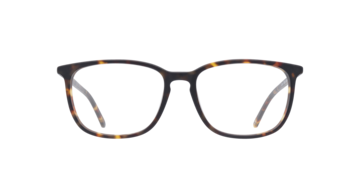 Matte Tortoise Lucas -  Acetate Glasses