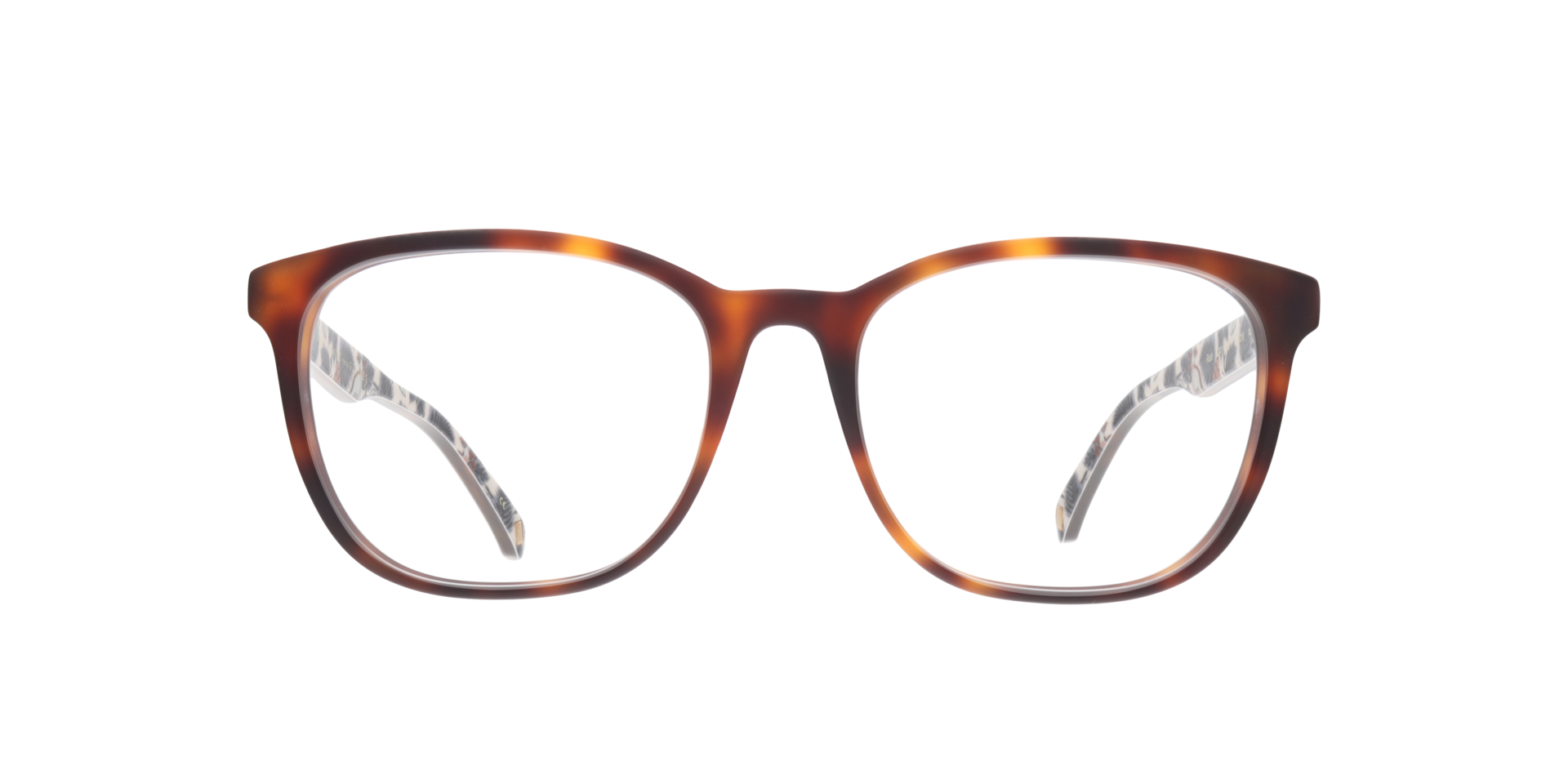 TB8241 Brown AcetateEyeglass Frames for Glasses Direct, Front View