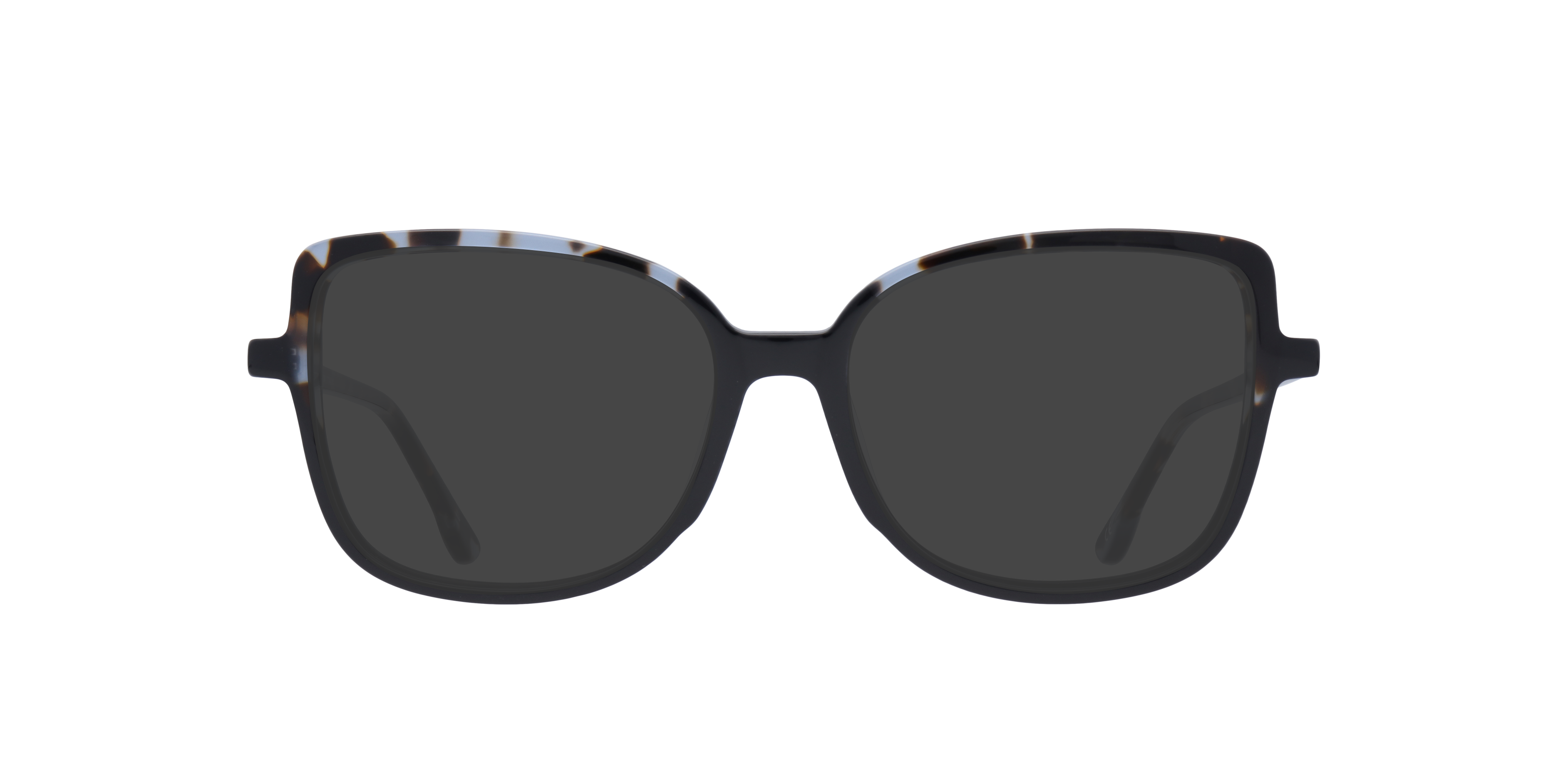 Black Tropea -  Acetate