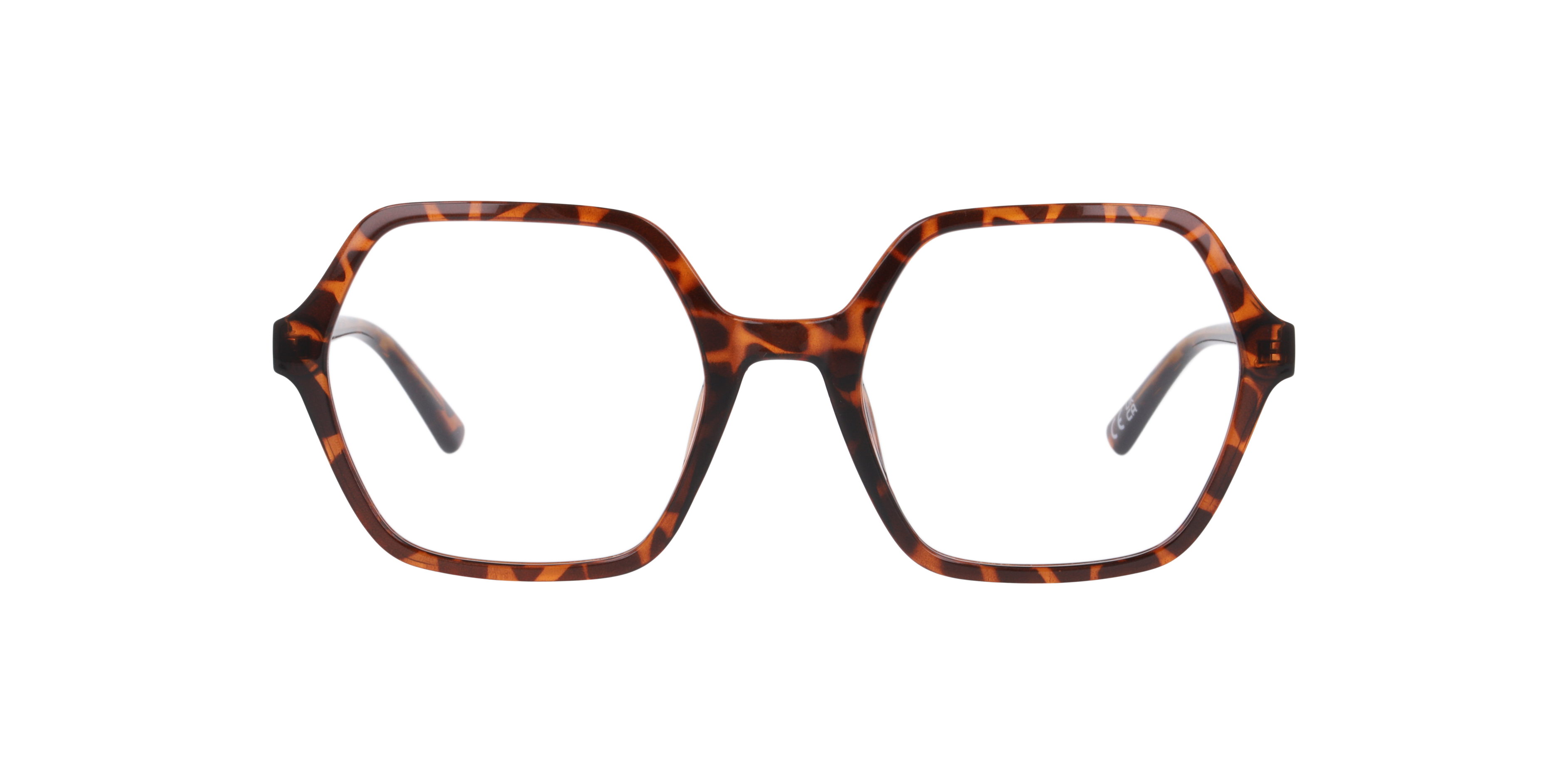 Havana Brown Molly -  Plastic