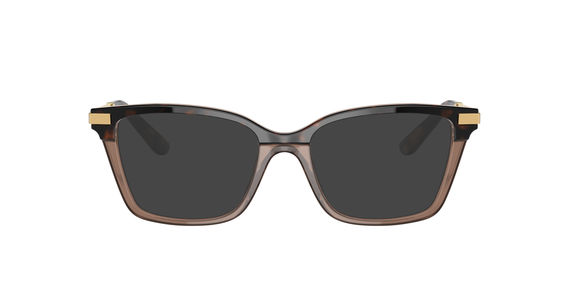 Havana/Transparent Brown DG3345 -  Acetate
