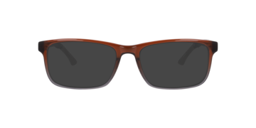 Brown Cuscorex -  Acetate Sunglasses