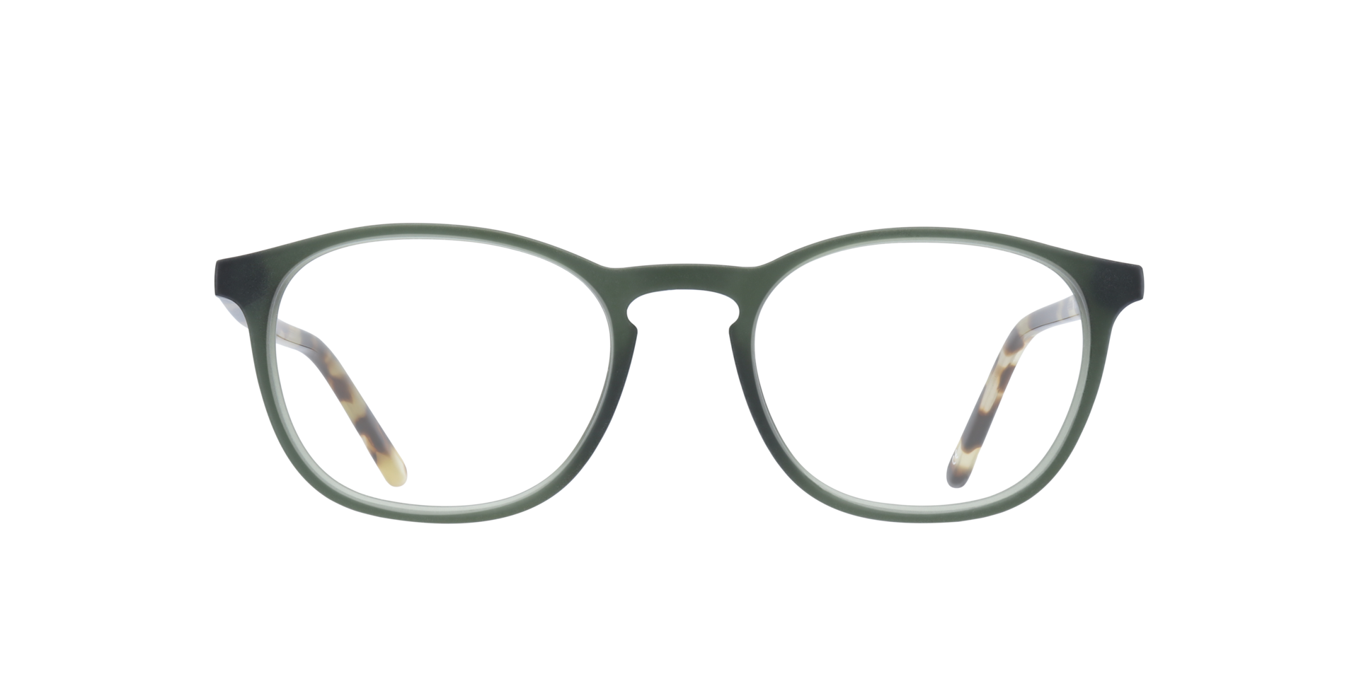 Green/Havana Whitley -  Acetate