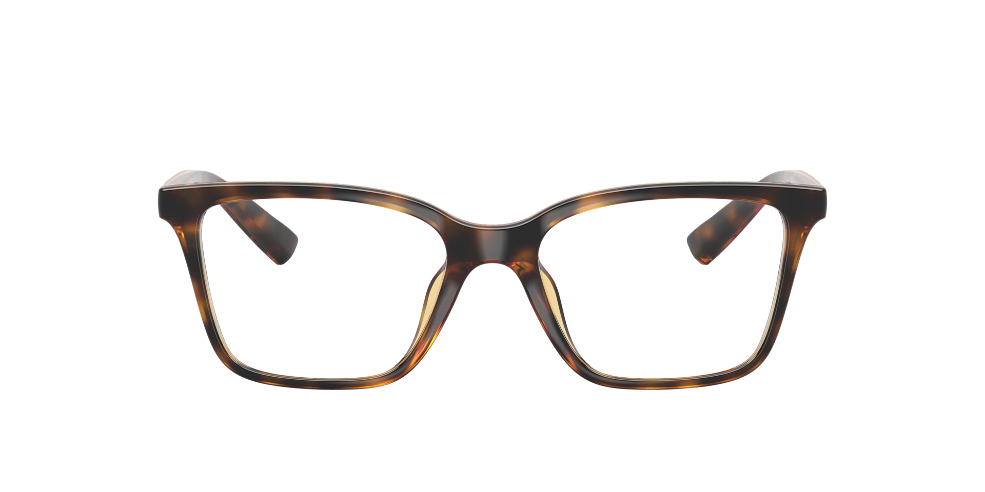 Shiny Havana AX3146U -  Plastic