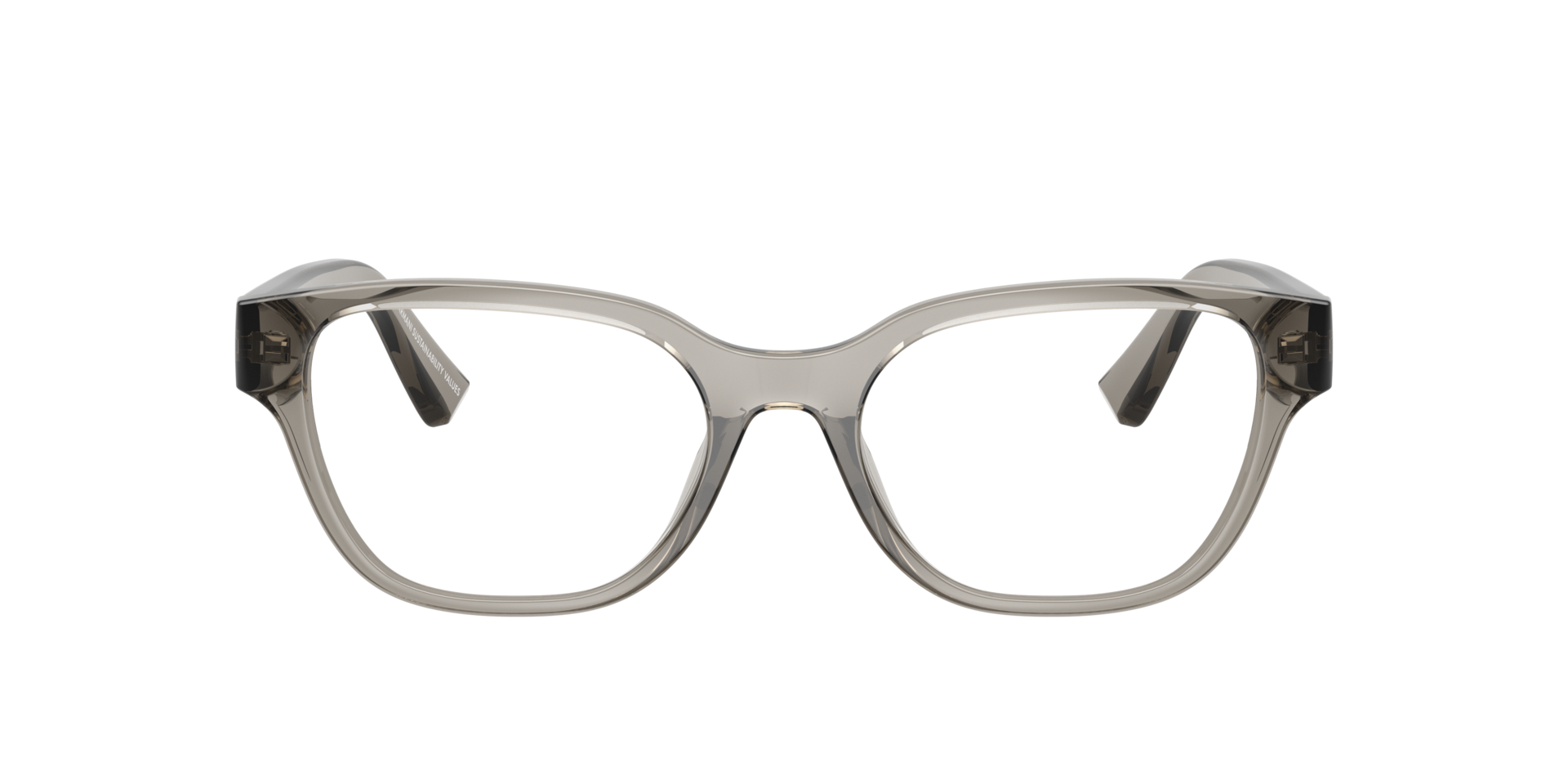 Shiny Transparent Grey AX3134U -  Plastic