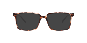 Havana Brown Nori -  Plastic Sunglasses