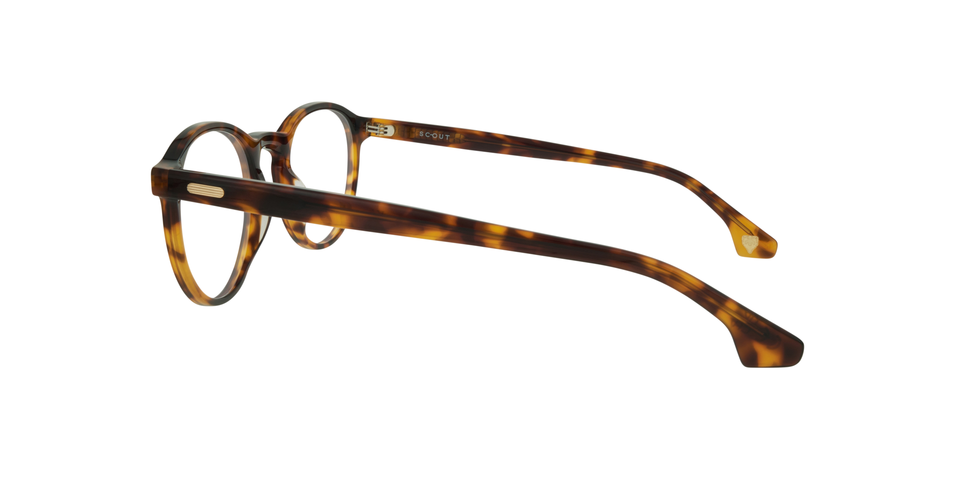 Kian Havana AcetateEyeglass Frames for Glasses Direct, Side View