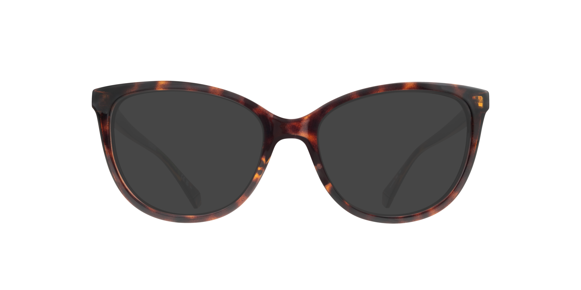 PLD D504 Tortoise PlasticEyeglass Frames for Glasses Direct, with Tinted Lenses
