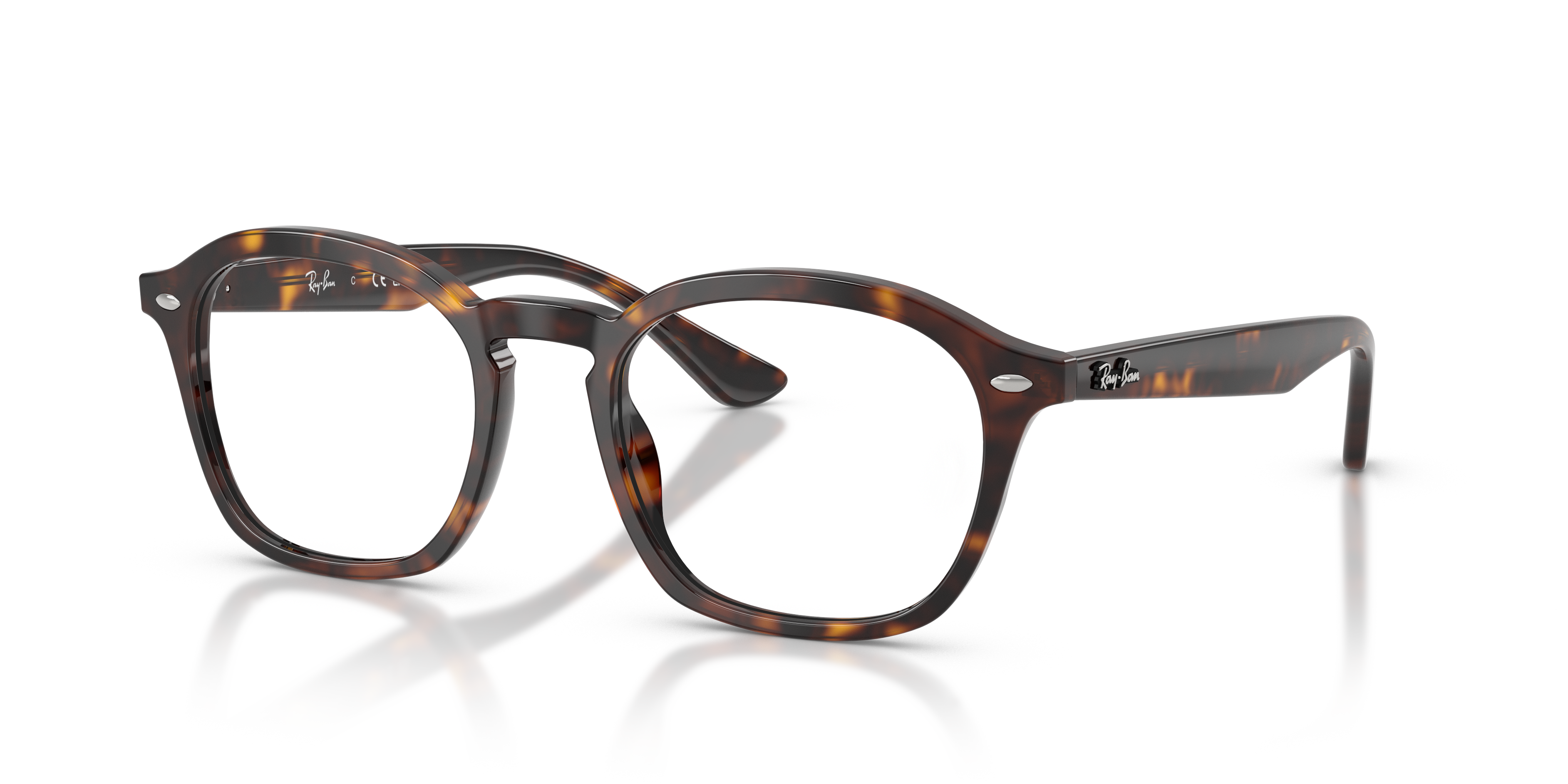 RB5451 Optics