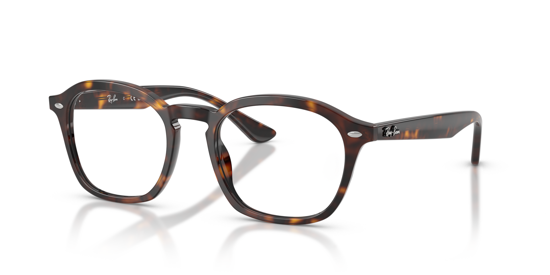 RB5451 Optics