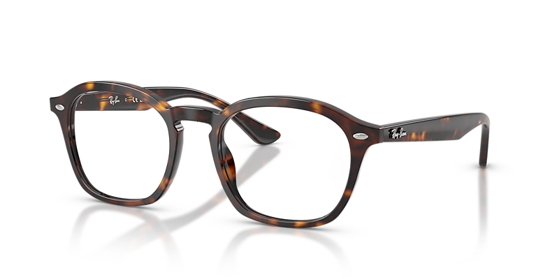 RB5451 Optics
