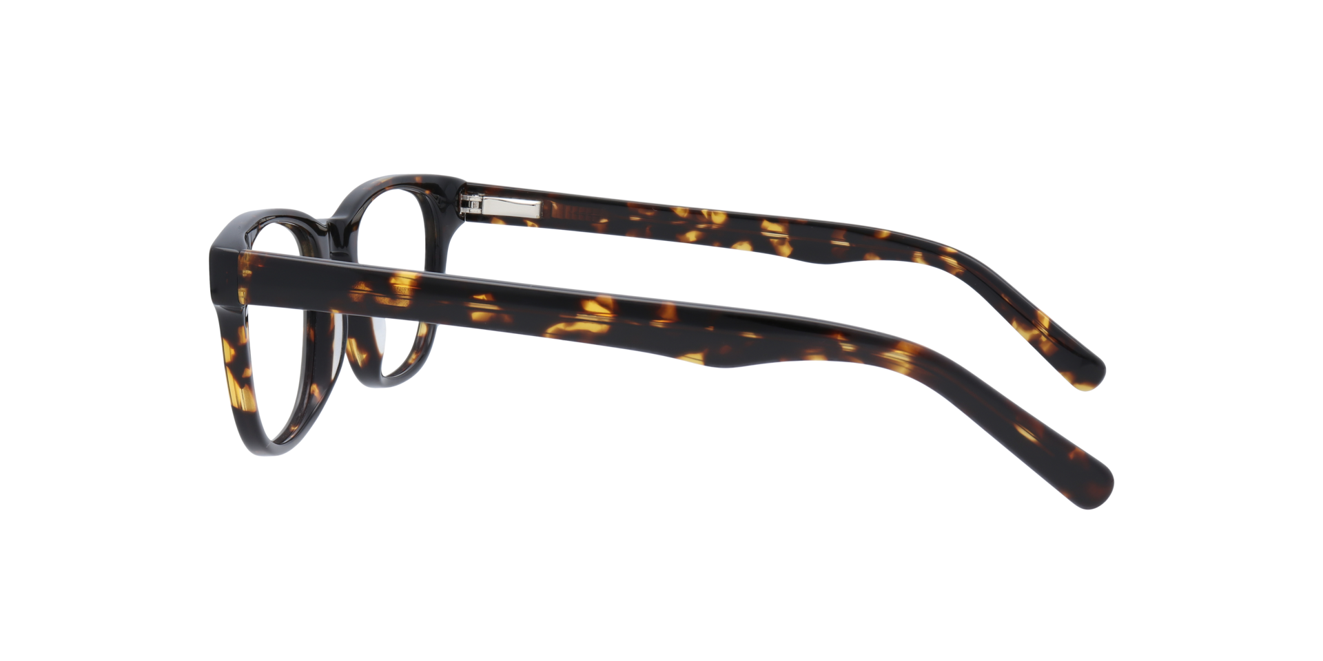 Andi Tortoise AcetateEyeglass Frames for Glasses Direct, Side View