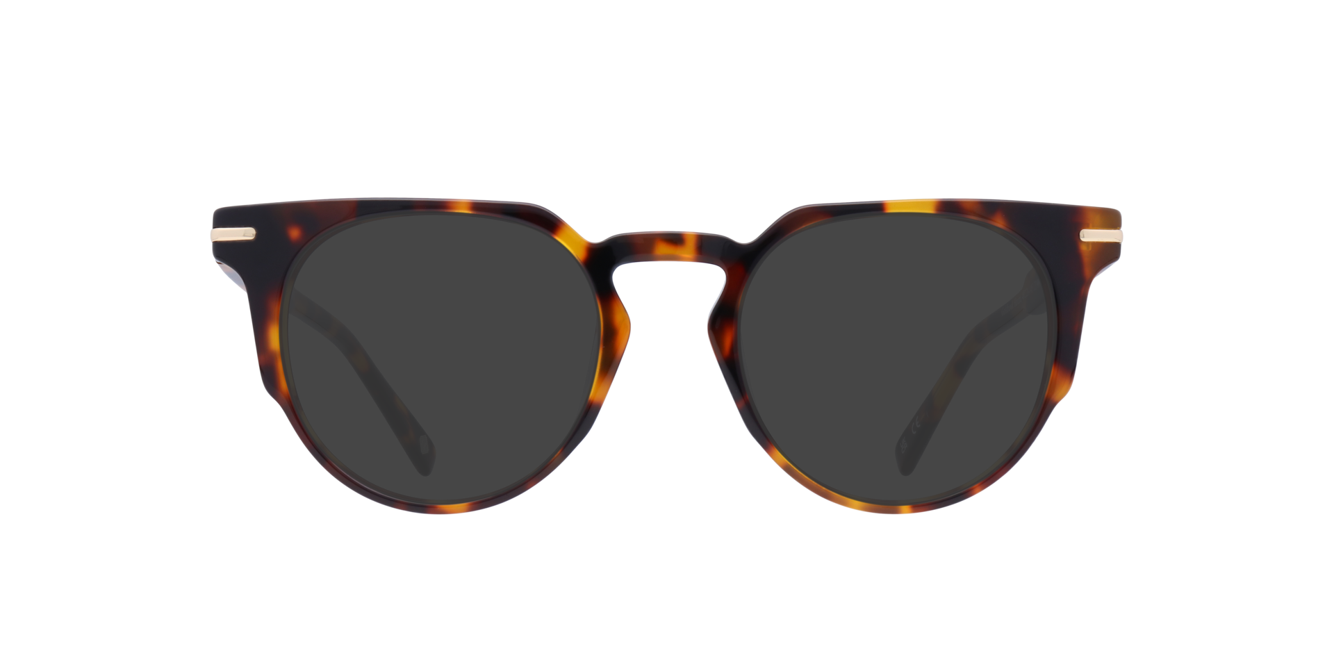 Havana Goldhawk -  Acetate