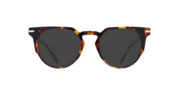 Havana Goldhawk -  Acetate Sunglasses