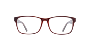 Shiny Brown/Crystal Dario -  Plastic Glasses