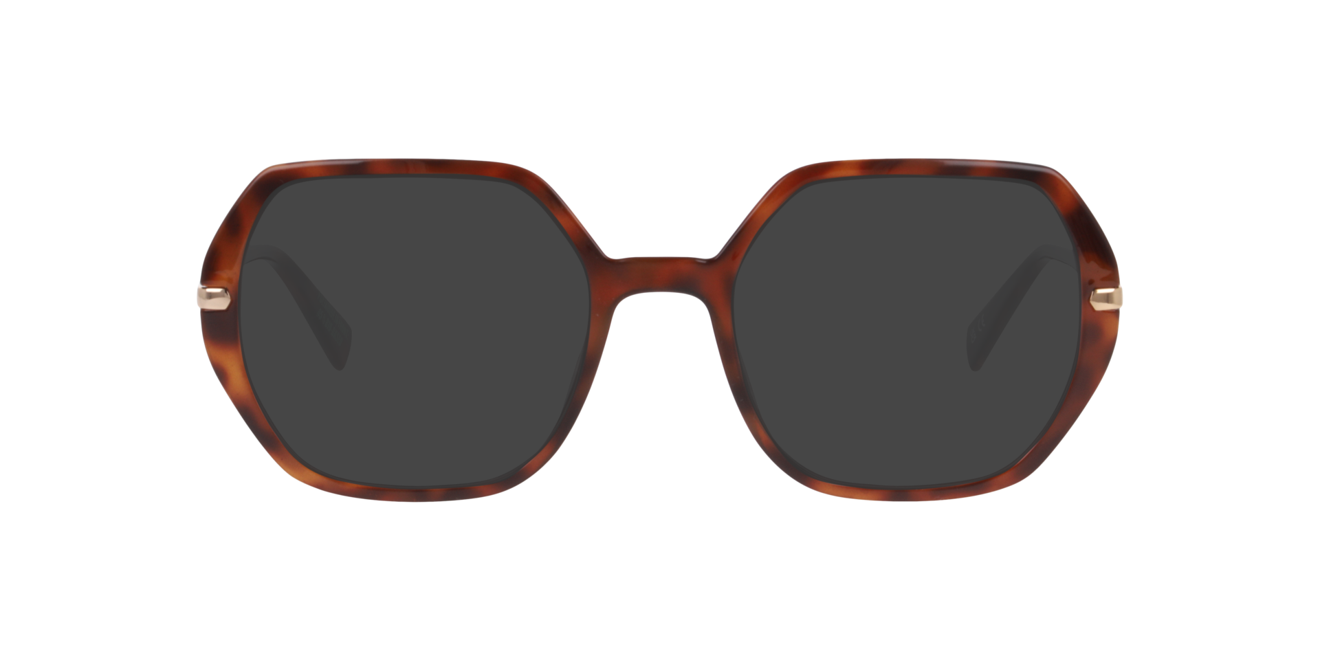 Tortoise LV 1085 -  Plastic