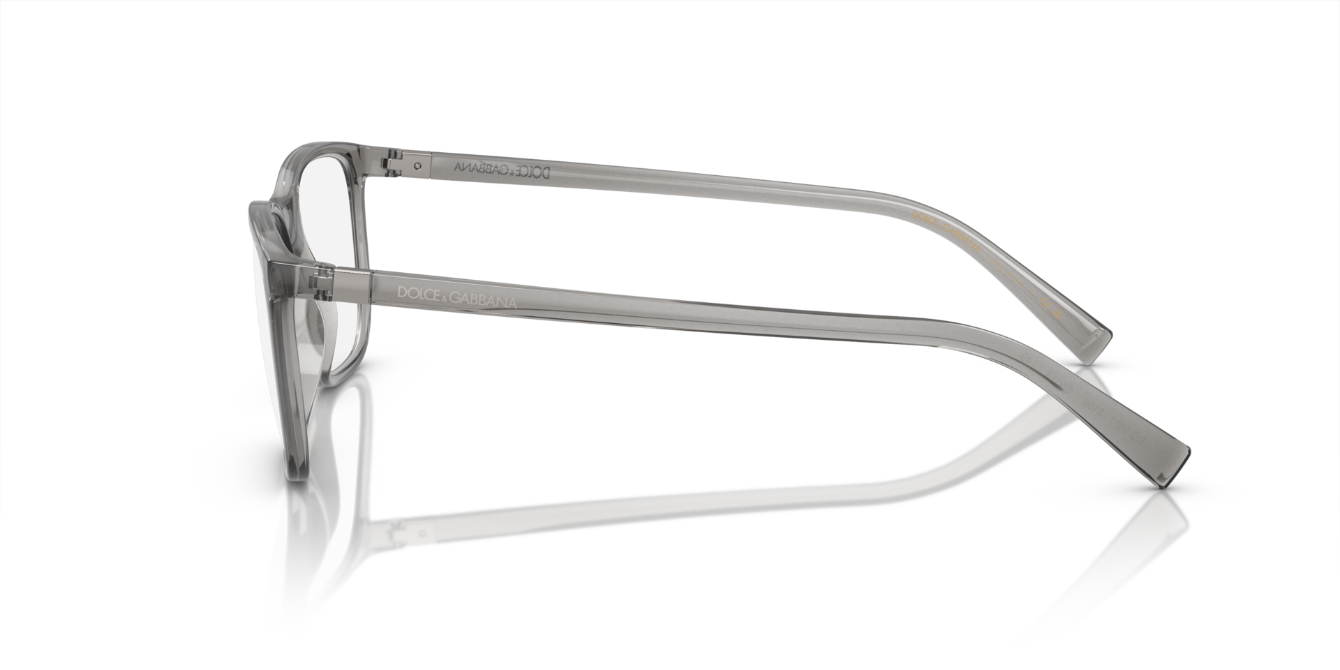 DG5027 Transparent Grey PlasticEyeglass Frames for Glasses Direct, Side View