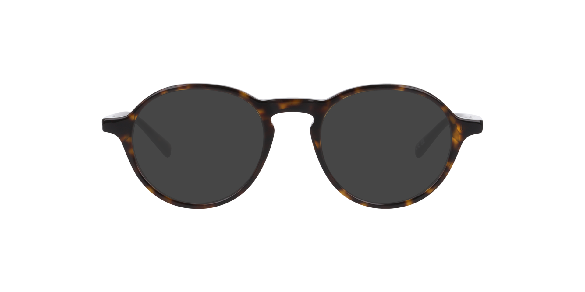 Havana Brown Mackenzie -  Acetate