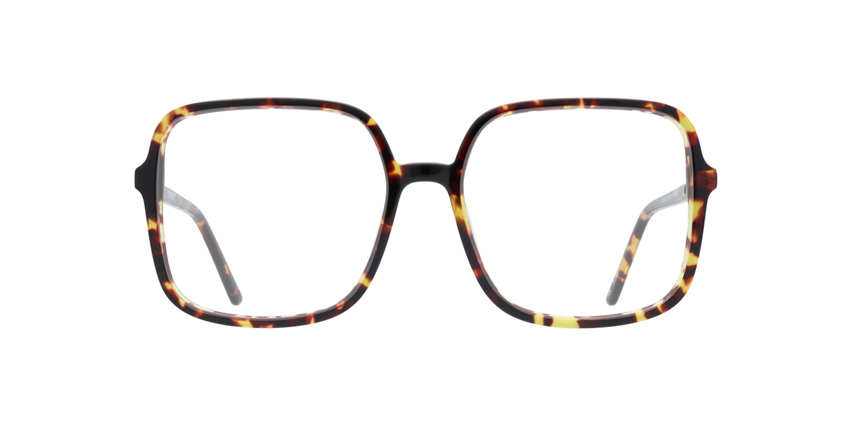 Scout Women's Tortoise Square Acetate Eyeglasses Online - Full Rim - Calina