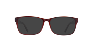 Shiny Brown/Crystal Dario -  Plastic Sunglasses