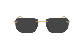 Arista Gold RB3768V -  Metal Sunglasses