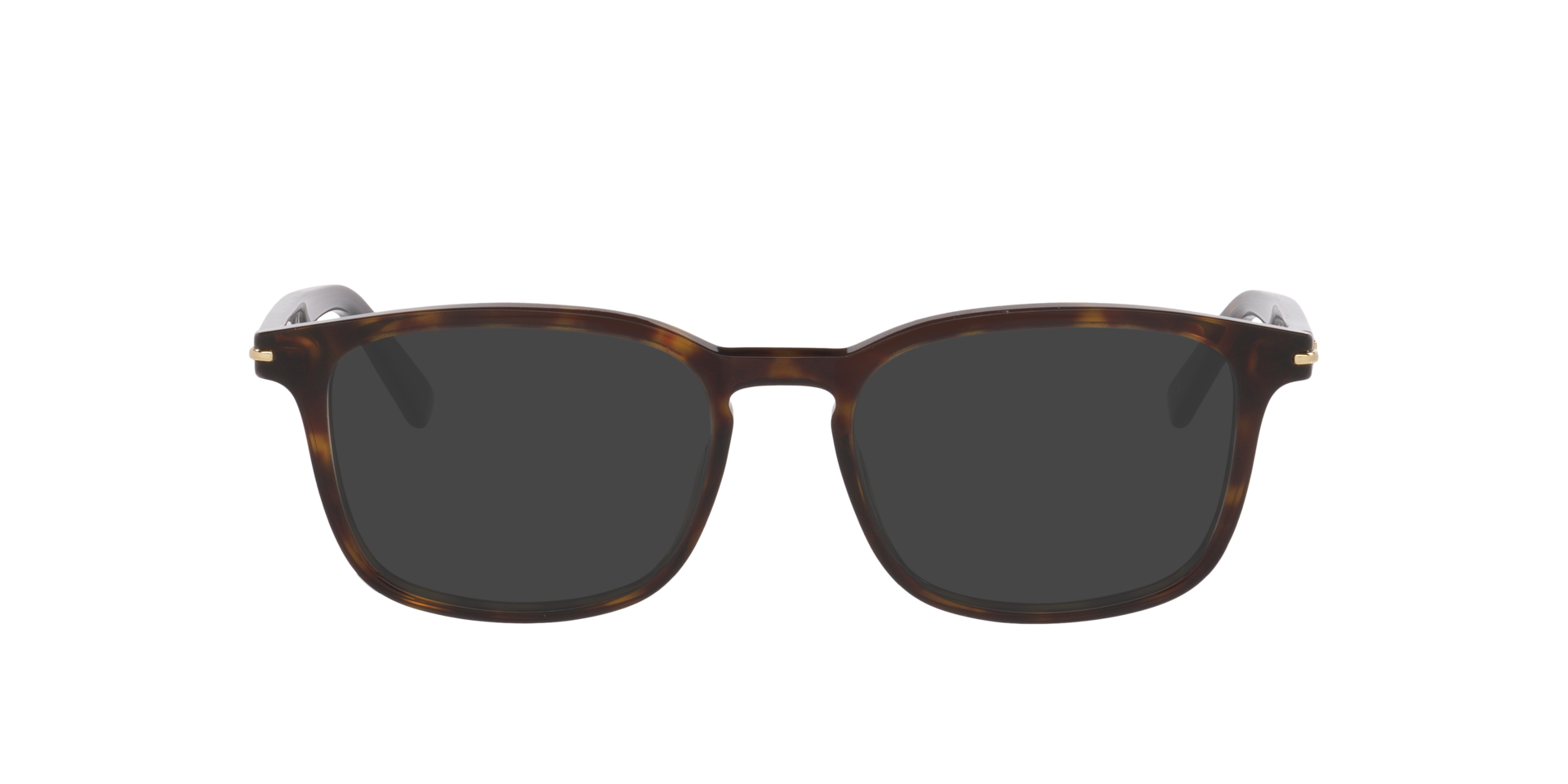 Tortoise Gg2129O -  Acetate