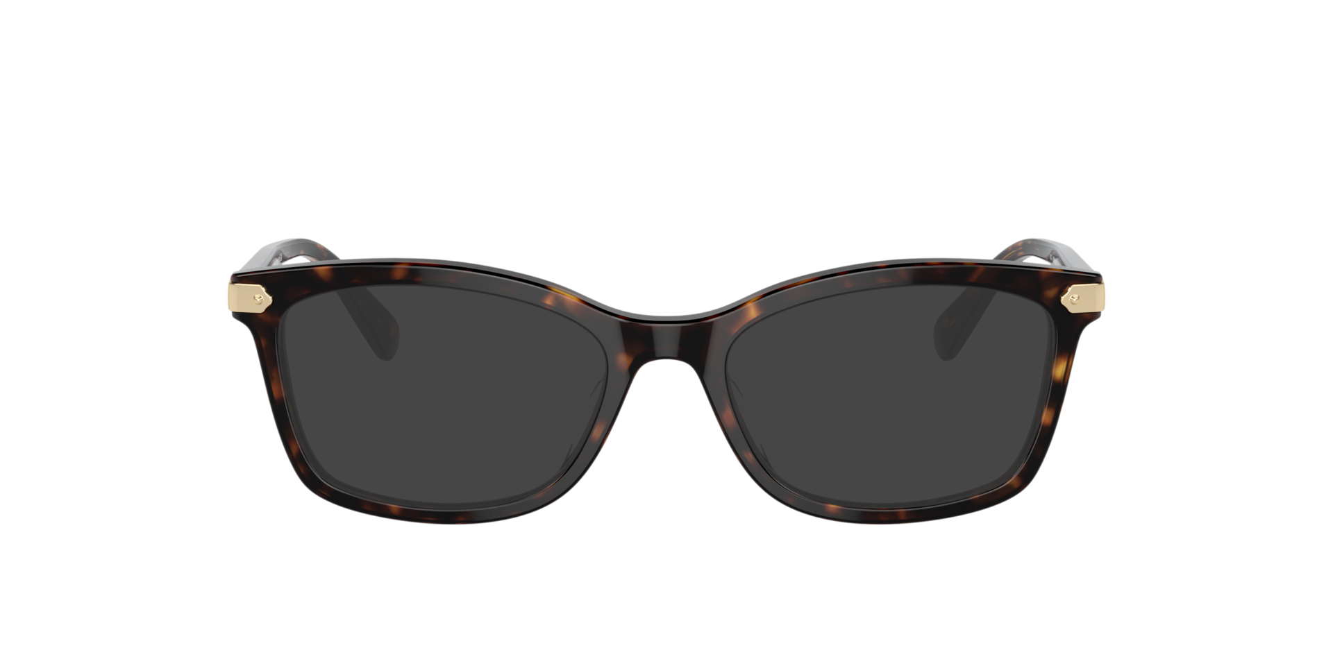 Dark Tortoise HC6219U -  Acetate