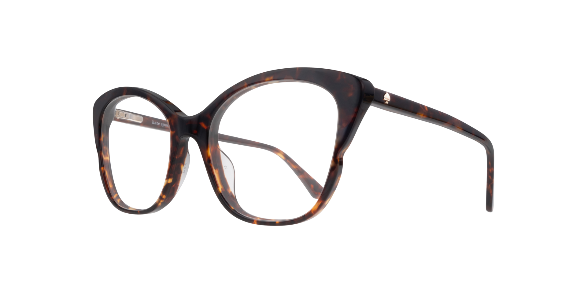 Laylani Tortoise AcetateEyeglass Frames for Glasses Direct, Angle View