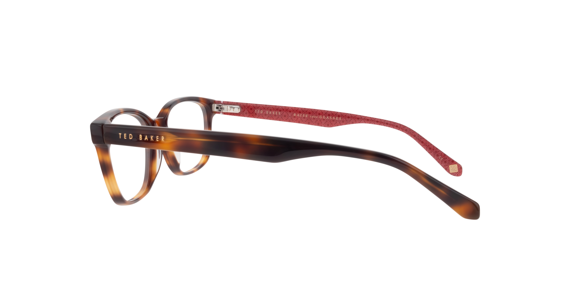 TB8230 Brown AcetateEyeglass Frames for Glasses Direct, Side View