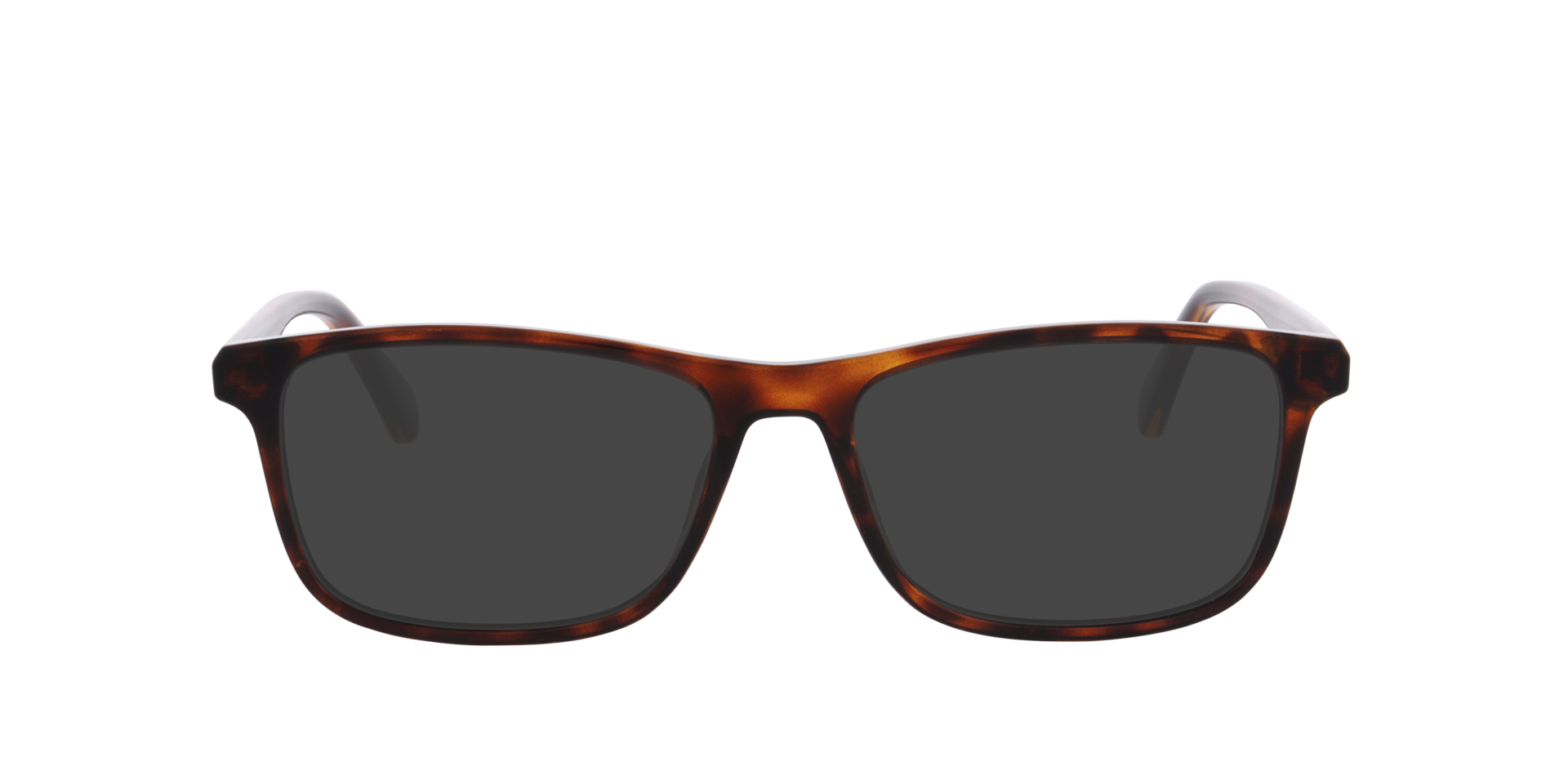 PLD D598 Tortoise PlasticEyeglass Frames for Glasses Direct, with Tinted Lenses