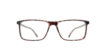 Shiny Havana Ledger -  Plastic Glasses