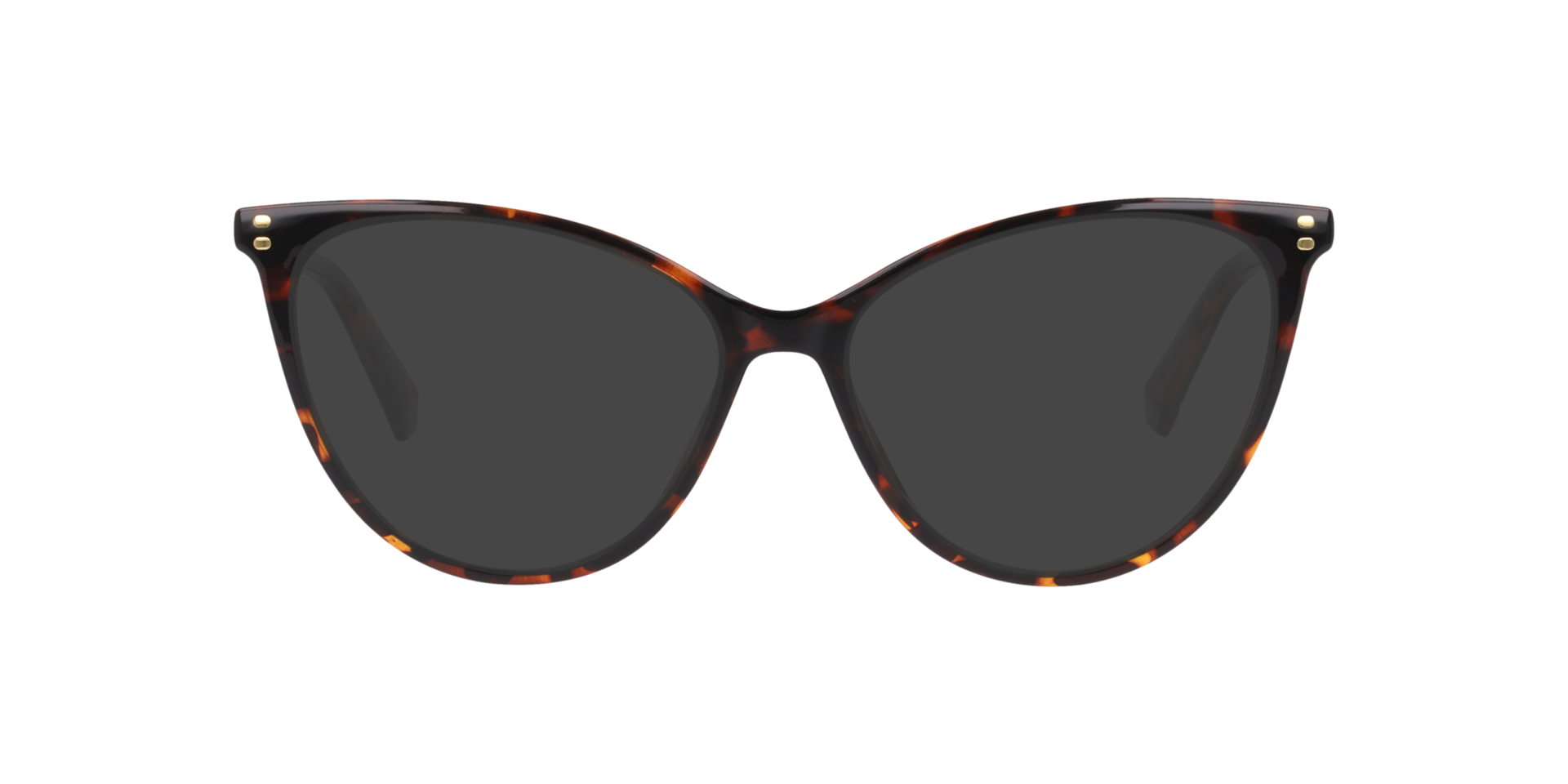 Tortoise PLD D551 -  Plastic