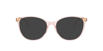 Transparent Rose DG3425 -  Acetate Sunglasses