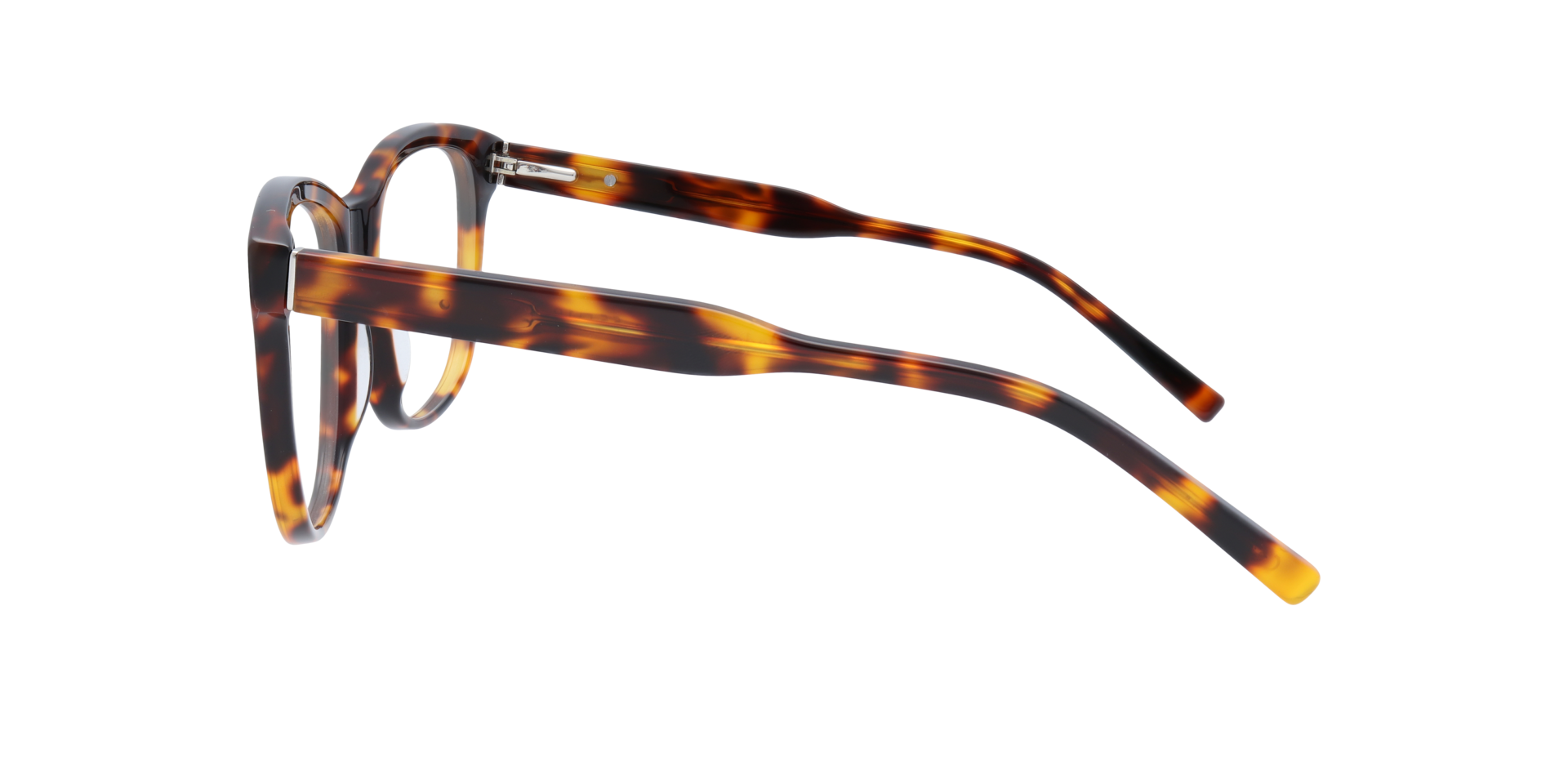 Jaden Havana AcetateSunglass Frames for Glasses Direct, Side View