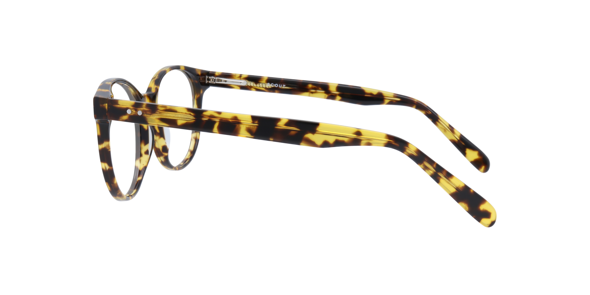 East Light Tortoise AcetateEyeglass Frames for Glasses Direct, Side View