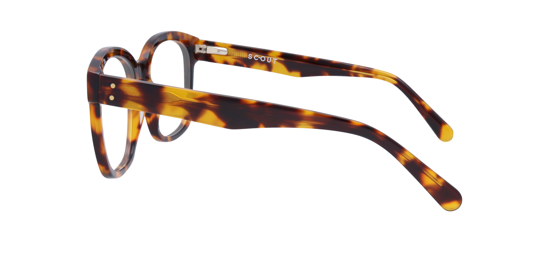 Francis Havana AcetateEyeglass Frames for Glasses Direct, Side View