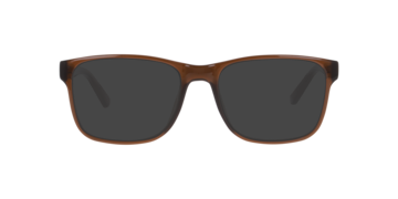 Transparent Brown Noah -  Plastic Sunglasses