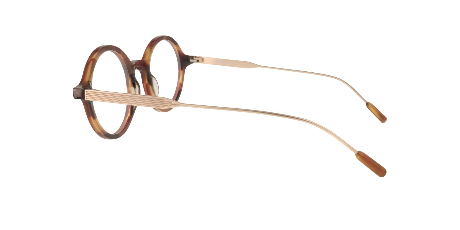 Lamar Havana & Gold AcetateEyeglass Frames for Glasses Direct, Side View